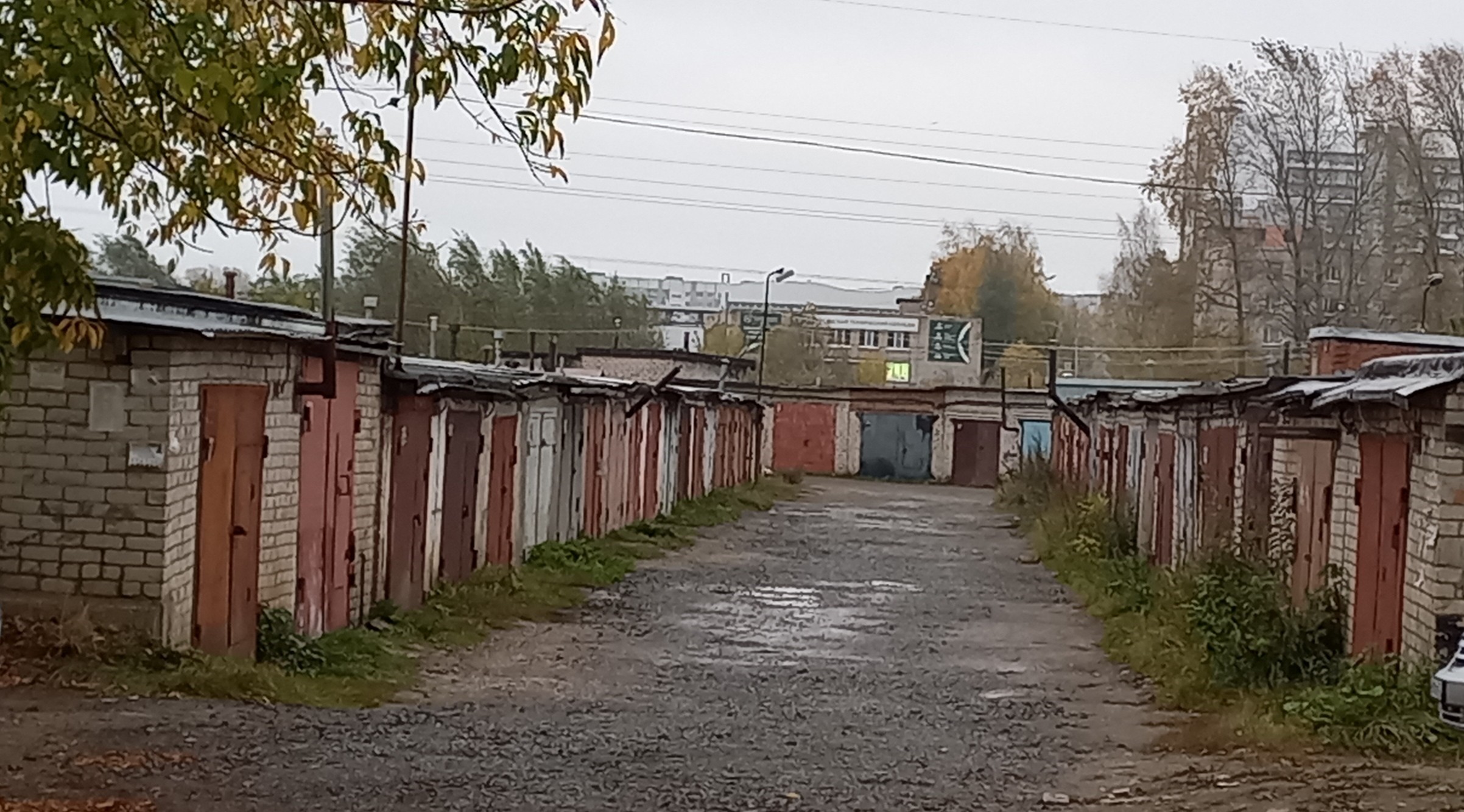 958 объектов недвижимости оформили вологжане по «гаражной амнистии» во II квартале 2025 года.