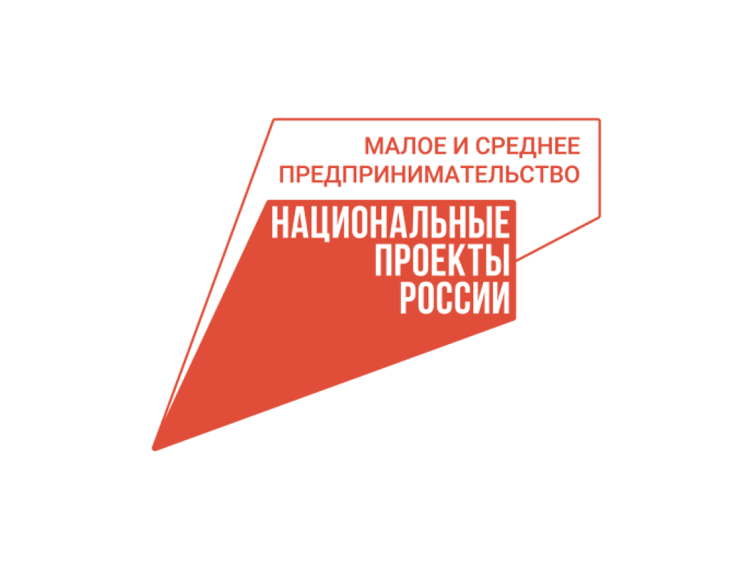Самозанятым Вологодской области помогут вести бизнес через соцсети.