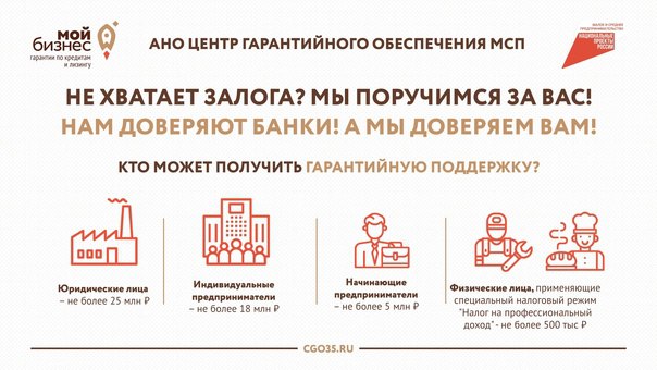 Более 700 компаний Вологодской области получили поддержку Центра гарантийного обеспечения за 15 лет.