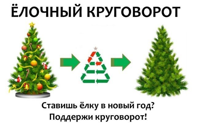 Елочный круговорот.
