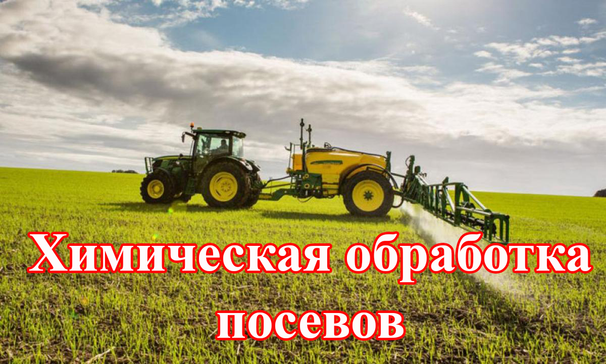 Обработка  посевов  «ядо-»  и «агро-» химикатами.